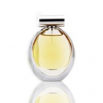 normal size siliver cap perfume bottle with luxury bottle for women